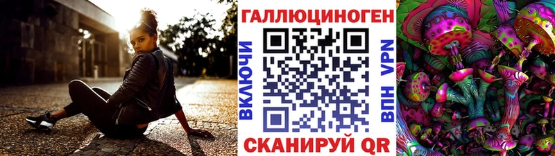 Псилоцибиновые грибы Psilocybe  Топки 